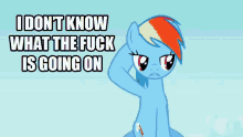 Mlp What The Fuck Is Going Onrainbow GIF - Mlp What The Fuck Is Going Onrainbow Dash GIFs