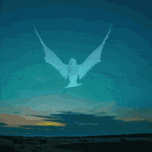Peace Dove GIF - Peace Dove Peacenlove GIFs