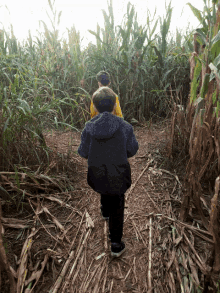 corn maze kids in the field