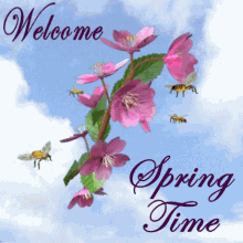 Happy Spring Time Spring GIF - Happy Spring Time Spring Welcome To Spring GIFs