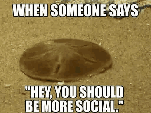 Antisocial Hide GIF - Antisocial Hide Meme GIFs