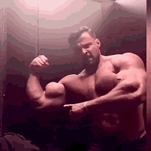 Muscles Big GIF - Muscles Big Biceps GIFs