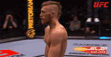 Fight Stance Conor Mcgregor GIF - Fight Stance Conor Mcgregor Ufc Brasil GIFs