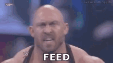 feed me hungry wwe wrestling angry