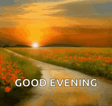 Good Evening Sunset GIF - Good Evening Sunset Flowers GIFs