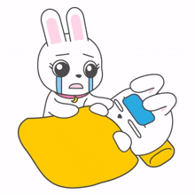 white rabbit couple sick worrying white rabbit couple sick worrying