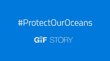 Beautiful And Sad Gifs That Show What'S Happening To The Ocean Gif Story GIF - Mission Blue Ocean GIFs