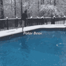 Winter Swim Polar GIF - Winter Swim Polar Polar Bear GIFs