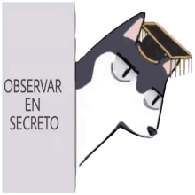 observa 2ha txj taxian moran