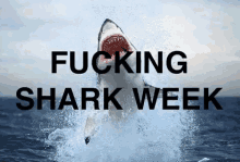 Fucking Sharkweek GIF - Fucking Sharkweek Shark GIFs