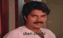 Malayalam Chechi GIF - Malayalam Chechi Sheri Chechi GIFs