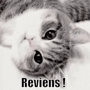 Reviens ! GIF - Cat Stare Looking - Discover & Share GIFs