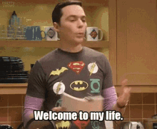 Welcome To My Life Sheldon GIF - Welcome To My Life Life Sheldon GIFs