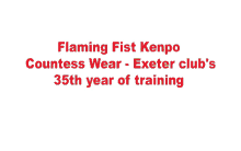 Kenpo Flaming Fist Kenpo GIF - Kenpo Flaming Fist Kenpo Empty Hands Ev GIFs