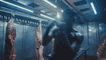 Ready To Fight Moses Sumney GIF - Ready To Fight Moses Sumney Virile Song GIFs