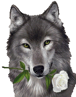 Wolf Rose Sticker - Wolf Rose Flower Stickers