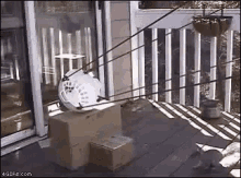 Squirrel Slingshot GIF - Squirrel Slingshot Unexpected GIFs