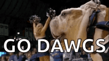 Butler Bulldogs Go Dawgs GIF - Butler Bulldogs Go Dawgs GIFs