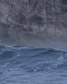 Nature Sea GIF - Nature Sea Lions GIFs
