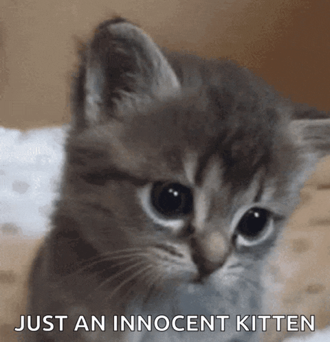 tenor.gif
