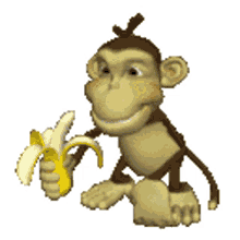 monkey monke banan banana eating