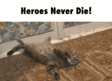 kitty heroes never die cat