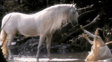 Unicorn Fantasy GIF - Unicorn Fantasy Legend GIFs