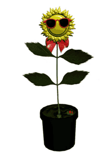 Happy Dance Sunflower GIF - Happy Dance Sunflower Swaying GIFs