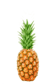 Pineapple Hide GIF - Pineapple Hide Doggo GIFs