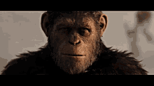 Caesar Planet Of The Apes GIF - Caesar Planet Of The Apes Cry GIFs