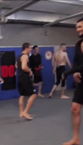 chechen-ufc.gif