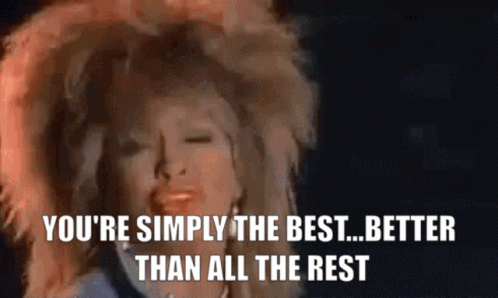 Tina Turner Simply The Best GIFs | Tenor