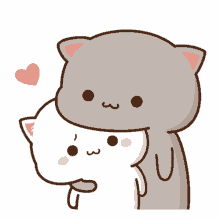 Cute Cuddle GIF - Cute Cuddle Cat GIFs
