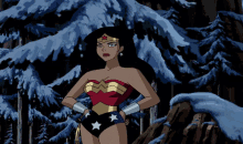 Wonder Woman The Flash GIF - Wonder Woman The Flash Flash GIFs
