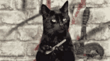 Friendship Black Cat GIF - Friendship Black Cat Nail File GIFs