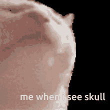 Vibing Cat Skull GIF - Vibing Cat Skull GIFs