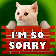 im so sorry im sorry i am sorry i apologize im really sorry