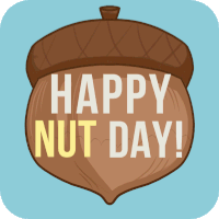 Nut Day Happy Nut Day Sticker - Nut Day Happy Nut Day Stickers