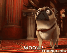 The Nut Job2 Nutty By Nature GIF - The Nut Job2 Nutty By Nature The Nut Job2gifs GIFs