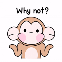 monkey why