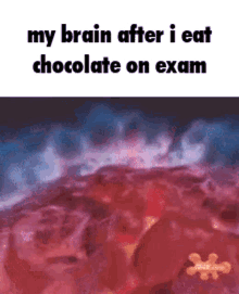 Brain Chocolate GIF - Brain Chocolate Exam GIFs