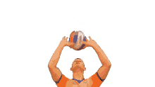 heren1 volleyball