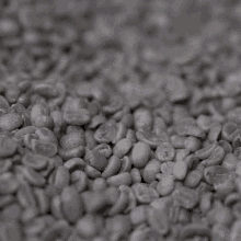 mintowamoderka sowacoffee mintowamoderka sowacoffee