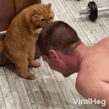 smelling viralhog let me smell your head cat holding head