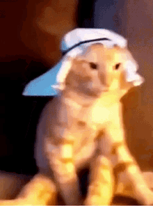 Arabic Cat GIF - Arabic Cat Cat GIFs