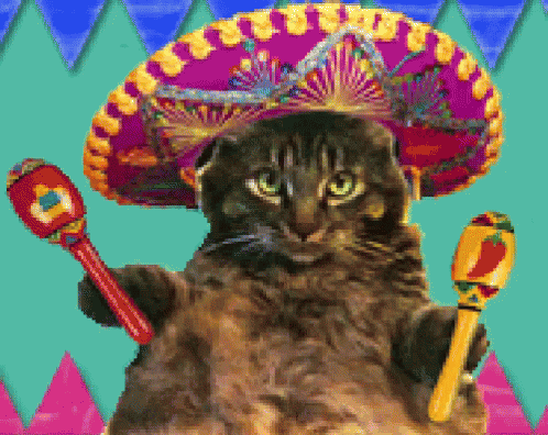 Mexican Cat GIFs Tenor.
