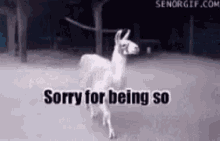 Sorry Sorry Not Sorry GIF - Sorry Sorry Not Sorry Llama GIFs
