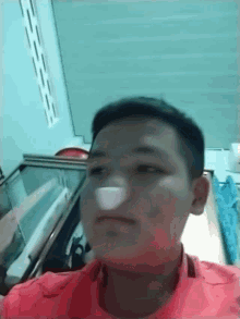 Silly Nose GIF - Silly Nose Look GIFs