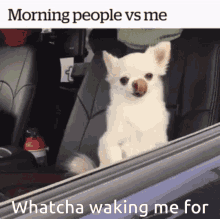 Waking Me Morning GIF - Waking Me Morning GIFs