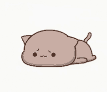 sad cat dejected mochi mochi peach cat gray cat